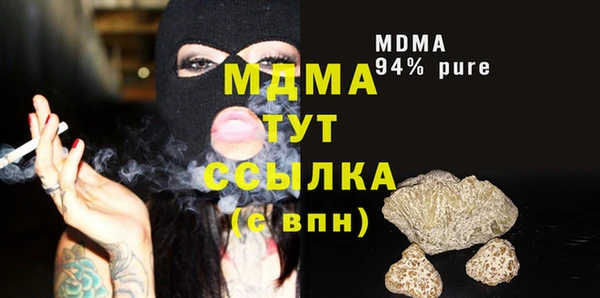 индика Гусиноозёрск