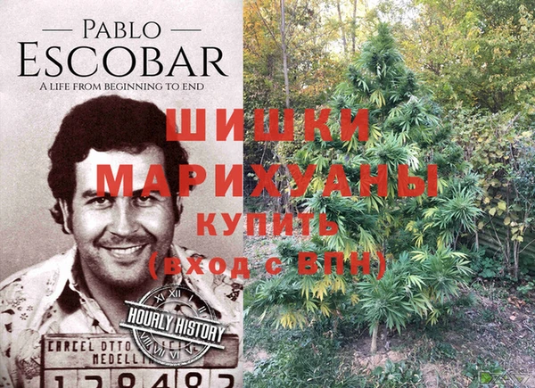 МДПВ Дмитров