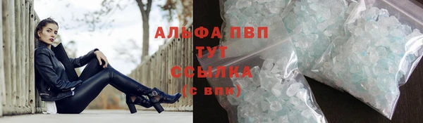 индика Гусиноозёрск
