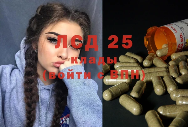 индика Гусиноозёрск