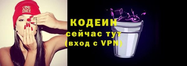 индика Гусиноозёрск