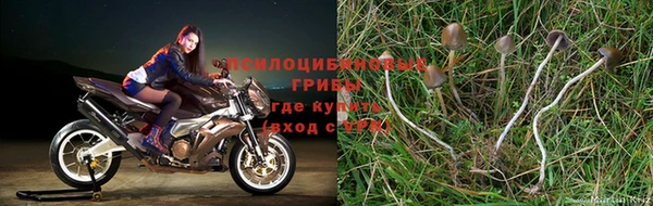 кокаин премиум Гусь-Хрустальный