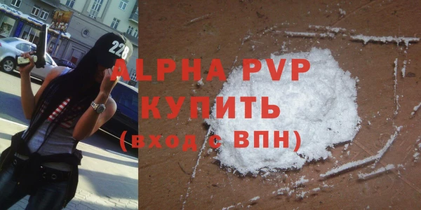 индика Гусиноозёрск