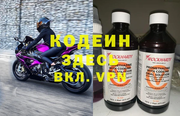 индика Гусиноозёрск