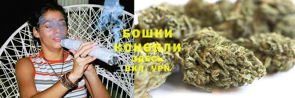 МДПВ Дмитров