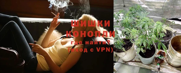 шишки Дмитровск