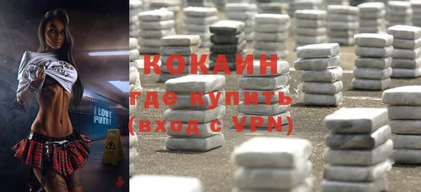 хмурый Дмитриев