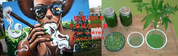 индика Гусиноозёрск