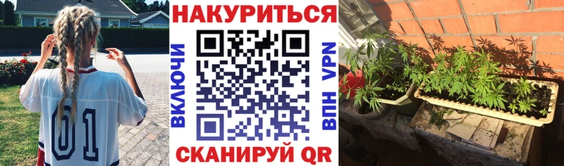 Купить закладки  Кировград  Марихуана гибрид 